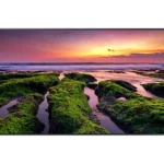 SAMSUNG 65" 4K UHD Smart Signage LH65QBBEBGCXUE Standalone screen 65" Non touch