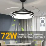 Ceiling fan with LED Wall Light