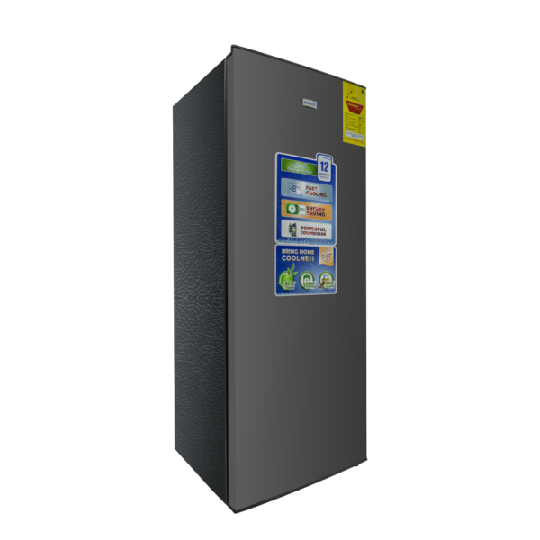 Nasco 166Ltrs Standing Freezer nasd1-200sk