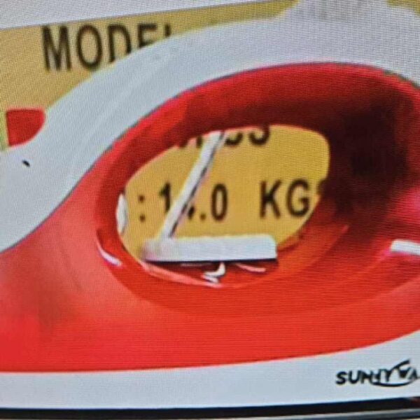 SUNNYWALK 2000WATTS STEAM IRON