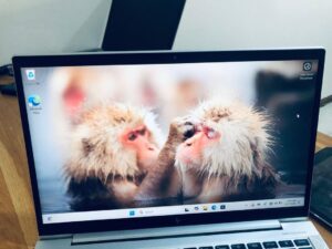 Laptop HP EliteBook 845 G7 16GB AMD Ryzen SSD 256GB - Image 6